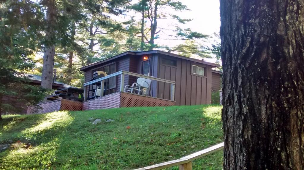 The Pines Cottage Resort Oxtongue Lake Cameră foto